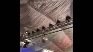 ATIQ EVENT management outdoor catering setup contact number 03004706694 #youtubeshorts #weddingplane