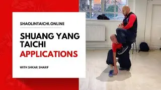 How to Apply Shuang Yang Tai Chi Postures in a Self Defence Situation