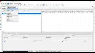 WBS entre p6 y Project