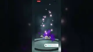 Pok&eacute;mon Go - Purified Shadow Geodude