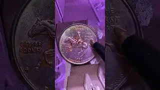 1999 P DELAWARE STATE QUARTER: 373,400,000 MINTED | BACK OF COIN