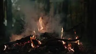 Mesmerizing Visuals with Gentle Flames & Calming Music