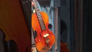 violin with full set accessories only 139$