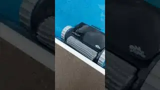 My new Dolphin Nautilus CC Automatic Robotic Pool Cleaner