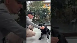 Come insegnare il cane a guardarci! Ecco il GUNA! #dog #pet #dogtraining #natural #dogtraining