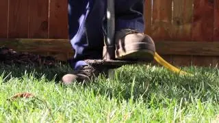 Deep Root Fertilization for Trees & Shrubs