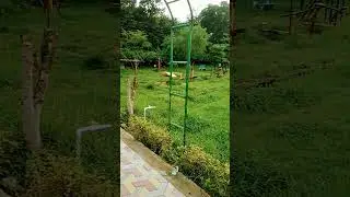 obra ka children park sonbhadra #song