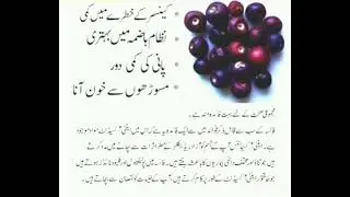 Falsa Health benefits #youtubeshorts #youtube