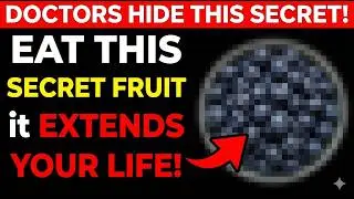 The 7 Best Foods for Seniors After 70 (Eat These Daily)