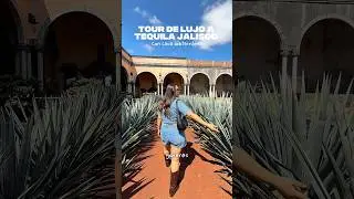 TOUR DE LUJO A TEQUILA 🇲🇽😍 #gdl #tequila #jalisco #tour