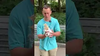 Обзор шаурмы 