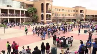 Mainland High School - 