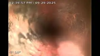 Camera inspection performed on 9-29-2025 at 6304 - Sunrise