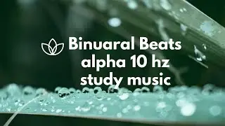 Binaural Beats for Study Focus Memory - Study Music Alpha Waves 10 Hz, Boost Brain Power