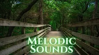 Melodic Soundscape: Soothing Music for Zen, Relaxation, and Meditation