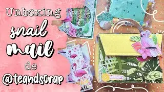 Unboxing del snail mail de @teandscrap | Cookie Scrap