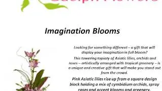 Flower Shops In Guelph