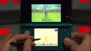 Nintendogs + Cats 3DS Review - Reviews on the Run