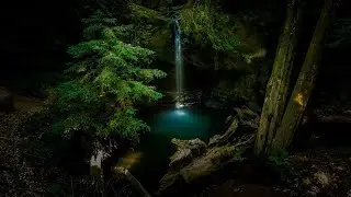 Ancient Rainforest Sound Journey | Organic Chillout | Ambient | Sound Healing