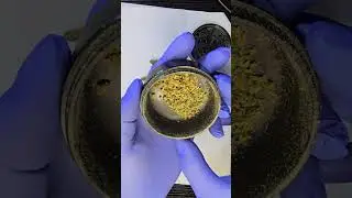 4c Labs Death Bubba T26 review