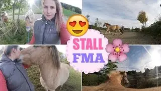AM STALL I FREIARBEIT AUF DEM SANDPLATZ, FAUNITA IM WINTERSCHLAF