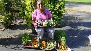 Last summer harvest of the year
