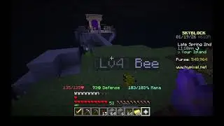 Hypixel Skyblock #4