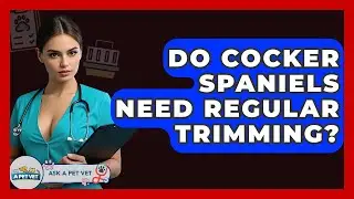 Do Cocker Spaniels Need Regular Trimming? - Ask A Pet Vet