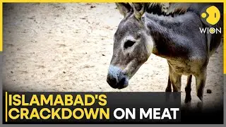 1,000kg of Donkey Meat Seized from Karachi Farmhouse; Foreign National Arrested | WION