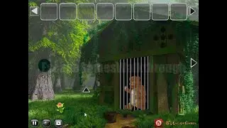 BEG Help The Trapped Bear Walkthrough [BigEscapeGames]