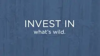 The Conservation Fund