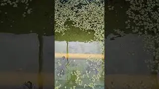 Feeding my Pool Pond!🐠