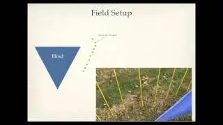 Blind Search 101 Final