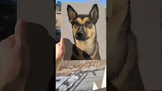 painting of Chelsea moose! 🩷🎨🪄#shorts #painting #photorealism #hyperrealism #art #pets #petportrait