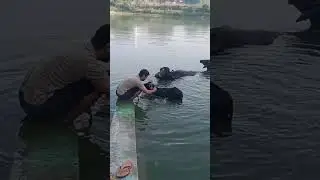 # First bath in johad#