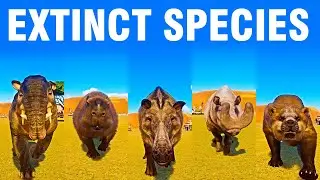 Extinct Species Speed Race in Planet Zoo included Josephoartigasia Magna, Megacerops
