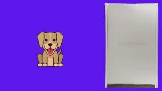 Before You Buy PetSafe Freedom Replacement Flap for Dog and Cat Doors