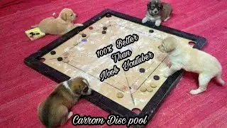 Carrom pool - Masterclass Gameplay✌️ Rowdyy Sathyaa Gaming