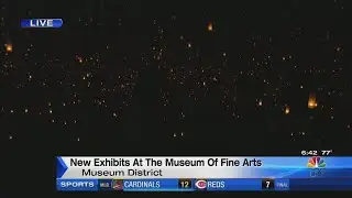 New exhibits open at Houston's Museum of Fine Arts