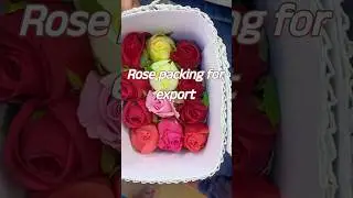 defrent types of flavours #shorts #viral video #flowers