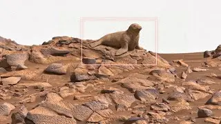 На планете обнаружен таинственный ландшафт | Марсоход NASA демонстрирует удивительные тёмные скал...