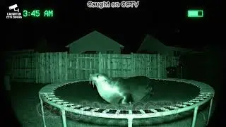 Unbelievable Night Vision CCTV Footage at 3:29 AM | Caught on CCTV