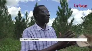 Bunyoro university donated land, excites task force