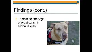 Emerging Practices in Co-Sheltering - 2021 Conference