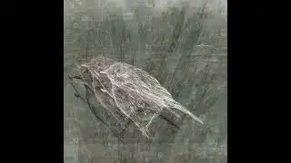 Continents. - ...and silence anchored our feet in granite (2012)