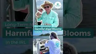 What Can Individuals Do To Prevent Pollution in The Indian River Lagoon?
