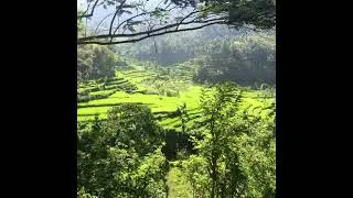 Marc Antona   Dissonant World Podcast from Bali Indonesia   Oct 2014