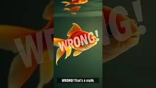 Goldfish Memory Myth BUSTED! 🐟🧠 The REAL Truth Revealed!