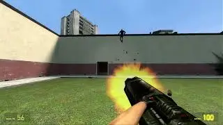 Freak Fortress 13: Ninja Spy