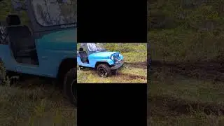 The Winch Saved the Day #shorts #roxor #offroad